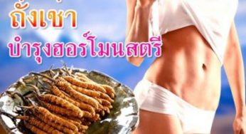 ผู้หญิง สมรรถภาพทางเพศเสื่อม อารมณ์เพศลดลง กินถั่งเช่า