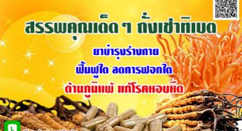 สรรพคุณดีๆ ถั่งเช่า ทิเบต ช่วยให้หญิงชายร่างกายฟิตปึ๋งปั๋ง