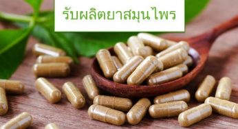 รับผลิตยาสมุนไพร แบบ OEM โดยโรงงานที่ผ่านมาตรฐาน GMP พร้อมจด อย.