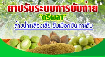 ดีท็อกลำใส้ด้วย”ตรีผลา” ยาปรับระบบการขับถ่าย ล้างน้ำเหลืองเสีย