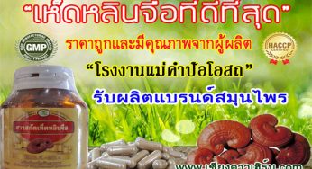 เห็ดหลินจือแดงสรรพคุณช่วยบำรุงหัวใจ สมุนไพรเพื่อหัวใจของคุณโดยเฉพาะ