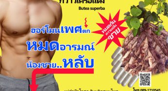 “คึกคักๆ” ยาบำรุงกำลังผู้ชาย กวาวเครืแดงผสมโสมคน คึกทุกค่ำคืน