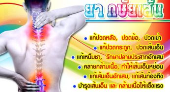 ยากษัยเส้น รักษาเส้นคลายกล้ามเนื้อ ปวดหลังเจ็บไหล่ คอเคล็ด