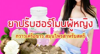 ยาปรับฮอร์โมนผู้หญิง กวาวเครือขาว ทำให้ผู้หญิงอกใหญ่นมแข็ง