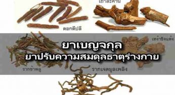 ยาเบญจกุล ยาปรับธาตุทั้ง5 ชนิดแคปซูลสมุนไพรบำรุงธาตุ ราคาส่ง