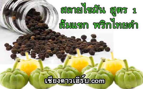 ยาอาหารเสริมลดความอ้วนดีที่สุด ต้องส้มแขกและพริกไทยดำ