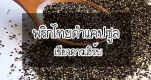 พริกไทยดำแคปซูล อาหารเสริม เชียงดาวเฮิร์บราคาส่ง
